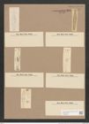 Navicula zostereti Grun. (de-Toni-Nr.: Genus 1, Species 105) Zeichnungen Sammlung Grunow Nr. 288 (NHMW-BOT-W0366553)